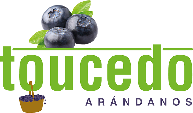 Toucedo Astur – Arándanos de Asturias