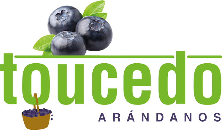 Toucedo Astur – Arándanos de Asturias
